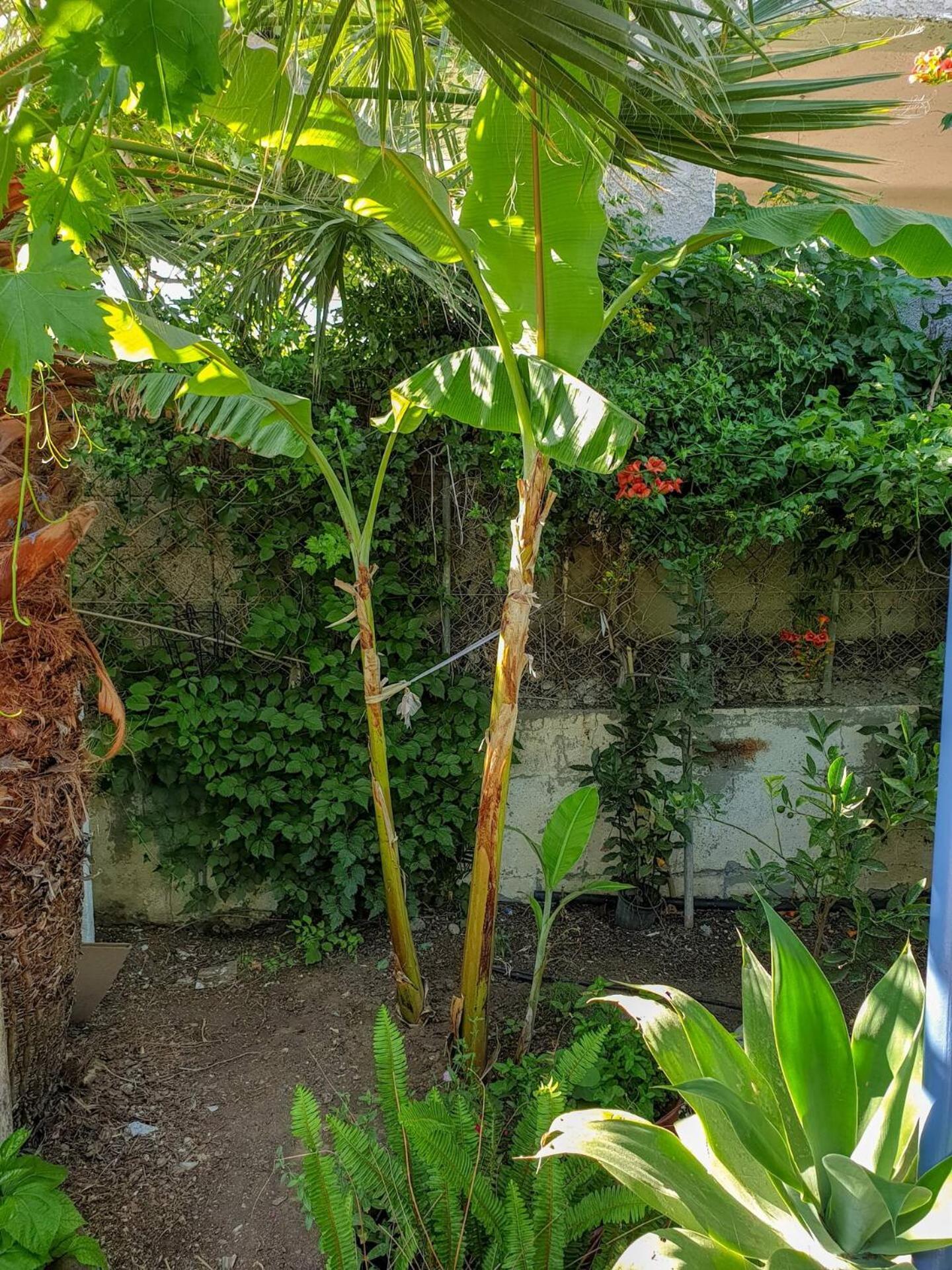 卡拉马基Maria'S House, With Garden别墅 外观 照片